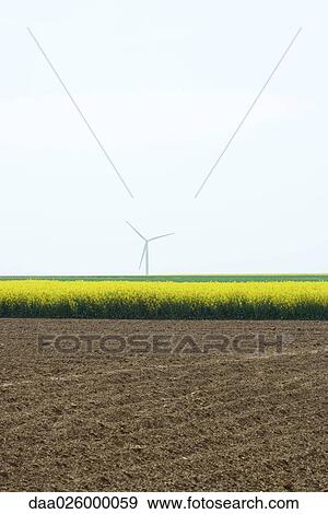 Plowed field with wind turbine in the distance View Large Photo Image Stock Photo - Plowed field with wind turbine in the distance. Fotosearch