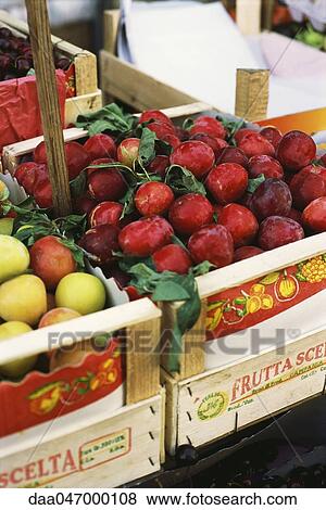 Stock Photo - Plums in farmer's market, Italy. Fotosearch
