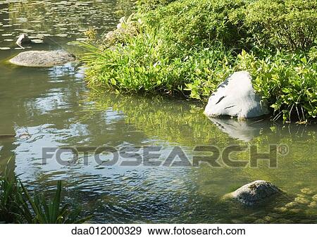 Stock Photo - Pond. Fotosearch