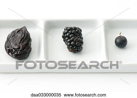 Prune, blackberry and blueberry on dish with compartments View Large Photo Image Stock Photography - Prune, blackberry and blueberry on dish with compartments. Fotosearch