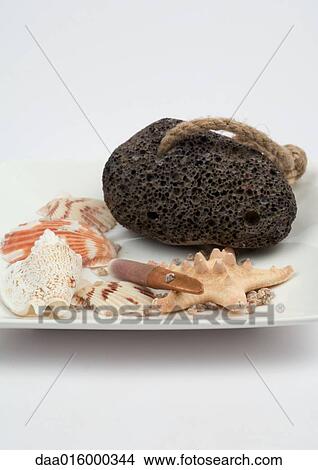 Pumice stone and seashells View Large Photo Image Picture - Pumice stone and seashells. Fotosearch