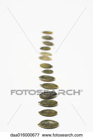 Pumpkin seeds View Large Photo Image Stock Photo - Pumpkin seeds. Fotosearch