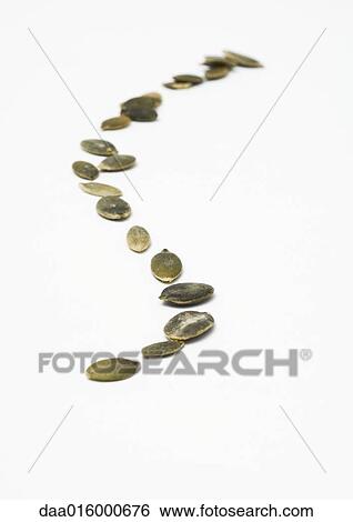 Pumpkin seeds View Large Photo Image Stock Photograph - Pumpkin seeds. Fotosearch