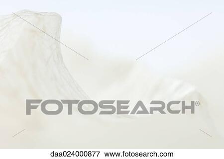 Stock Photo - Raffia, extreme close-up. Fotosearch