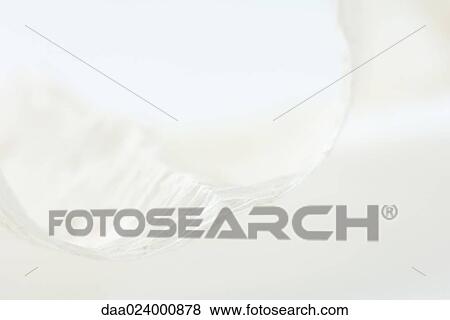 Stock Photo - Raffia, extreme close-up. Fotosearch