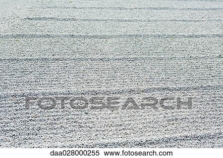 Raked patterns in rock garden, close-up View Large Photo Image Stock Photography - Raked patterns in rock garden, close-up. Fotosearch