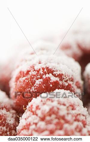 Stock Image - Raspberries covered in sugar, close-up. Fotosearch