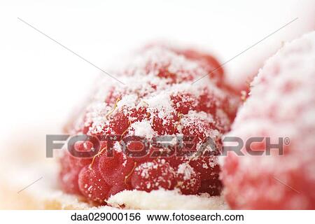 Raspberries sprinkled with sugar, close-up View Large Photo Image Stock Photograph - Raspberries sprinkled with sugar, close-up. Fotosearch