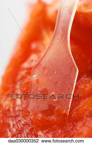 Red bell pepper and spatula, extreme close-up View Large Photo Image Stock Image - Red bell pepper and spatula, extreme close-up. Fotosearch