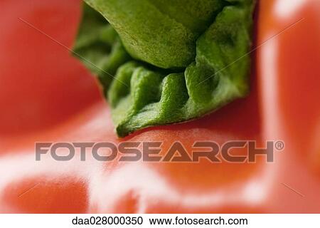 Red bell pepper, extreme close-up View Large Photo Image Stock Image - Red bell pepper, extreme close-up. Fotosearch