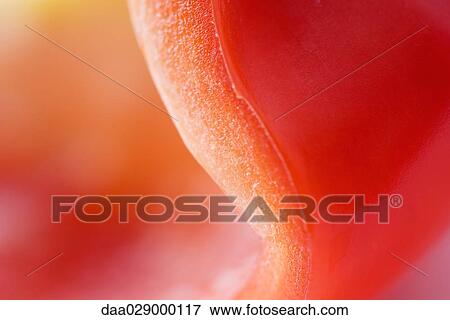 Stock Photo - Red bell pepper, extreme close-up. Fotosearch