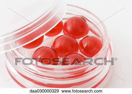 Red currants in small cosmetic container, close-up View Large Photo Image Stock Photo - Red currants in small cosmetic container, close-up. Fotosearch