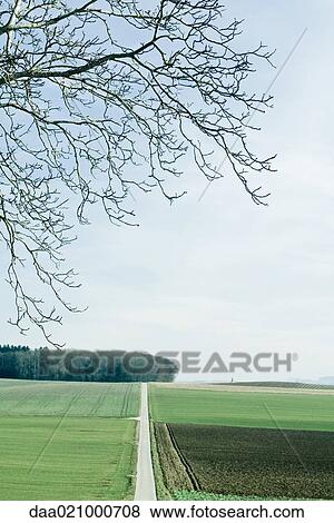 Road going through green fields View Large Photo Image Stock Photo - Road going through green fields. Fotosearch