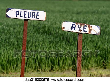 Road signs for two French towns, Pleure and Rye View Large Photo Image Stock Photography - Road signs for two French towns, Pleure and Rye. Fotosearch