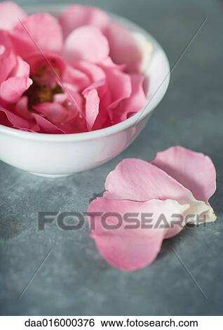Rose petals in bowl View Large Photo Image Stock Photograph - Rose petals in bowl. Fotosearch