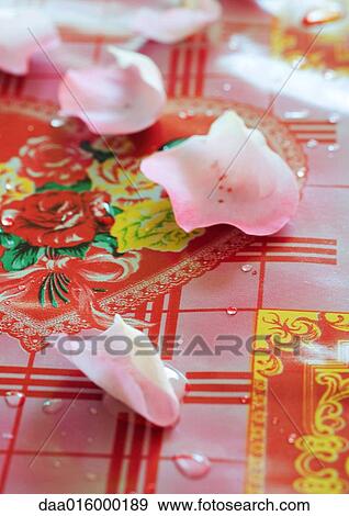 Stock Photo - Rose petals on decorative tablecloth. Fotosearch