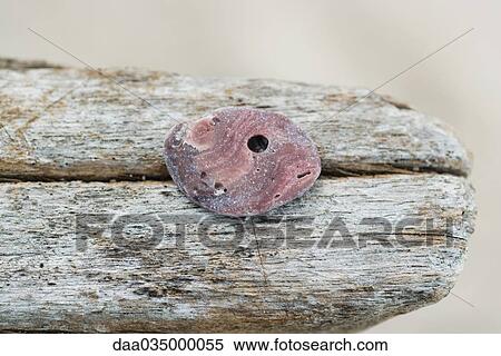 Stock Photography - Round stone on driftwood, close-up. Fotosearch