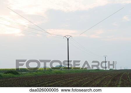Row of power lines in cultivated field View Large Photo Image Stock Photography - Row of power lines in cultivated field. Fotosearch