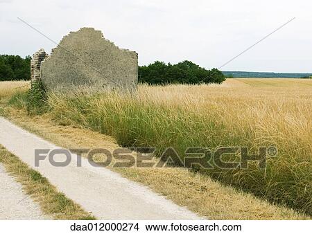 Rural landscape with wheatfield and building in ruins View Large Photo Image Picture - Rural landscape with wheatfield and building in ruins. Fotosearch