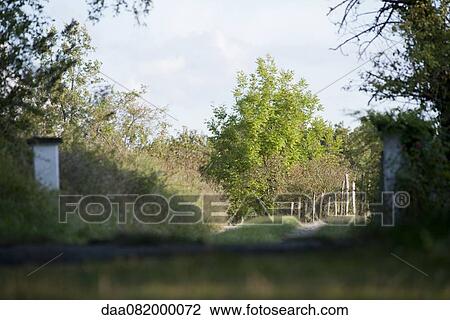 Rural scene View Large Photo Image Stock Image - Rural scene. Fotosearch