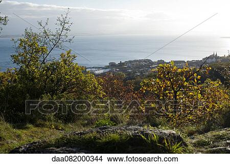 Picture - Scenic coastal view. Fotosearch