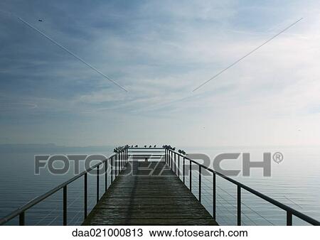 Stock Image - Seagulls perched on railing of pier overlooking lake. Fotosearch