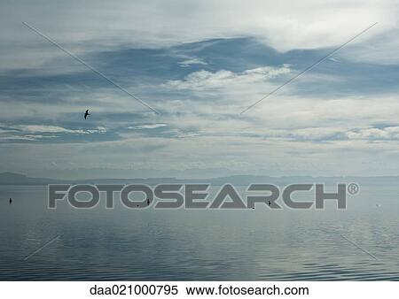 Seascape View Large Photo Image Stock Photography - Seascape. Fotosearch