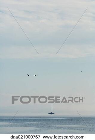 Seascape with sailboat View Large Photo Image Stock Photo - Seascape with sailboat. Fotosearch