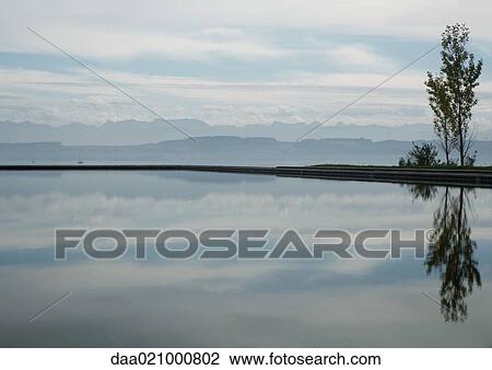 Seascape with tree reflected in water View Large Photo Image Stock Image - Seascape with tree reflected in water. Fotosearch