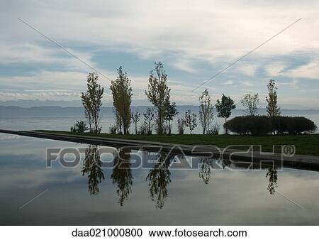 Seascape with trees reflected in water View Large Photo Image Stock Image - Seascape with trees reflected in water. Fotosearch