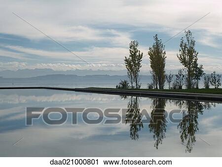 Seascape with trees reflected in water View Large Photo Image Stock Image - Seascape with trees reflected in water. Fotosearch