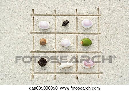 Stock Image - Seashells, coral and nuts arranged on grid drawn in sand, close-up. Fotosearch