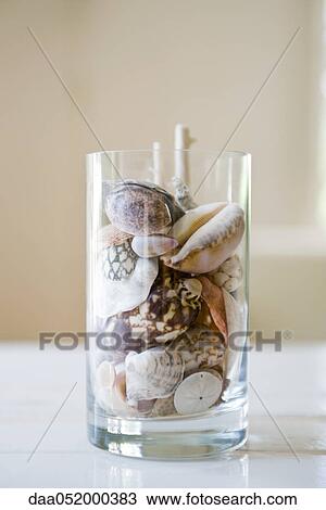 Seashells in glass View Large Photo Image Stock Image - Seashells in glass. Fotosearch