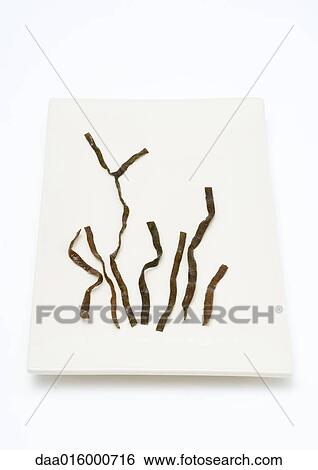 Seaweed on dish View Large Photo Image Stock Photograph - Seaweed on dish. Fotosearch