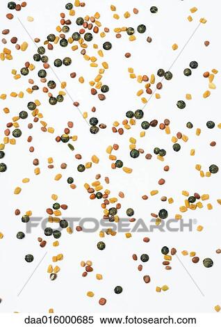 Seeds View Large Photo Image Stock Photography - Seeds. Fotosearch