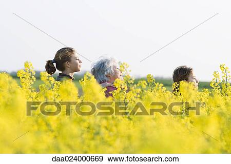 Stock Photo - Senior woman and two granddaughters standing in field of canola in bloom, side view. Fotosearch