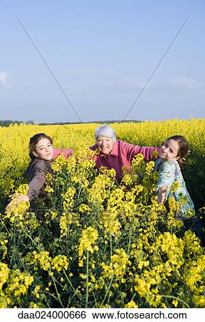 Senior woman and two granddaughters standing in field of canola in bloom, arms out toward camera View Large Photo Image Stock Photograph - Senior woman and two granddaughters standing in field of canola in bloom, arms out toward camera. Fotosearch