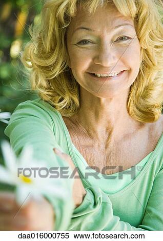 Senior woman holding out daisy toward camera View Large Photo Image Stock Photography - Senior woman holding out daisy toward camera. Fotosearch
