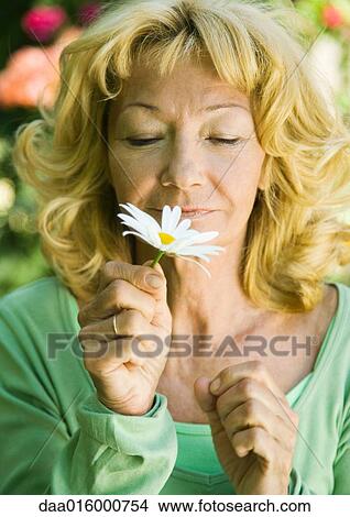 Senior woman smelling daisy View Large Photo Image Picture - Senior woman smelling daisy. Fotosearch