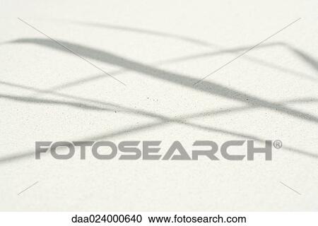 Shadow of plant on sand, close-up View Large Photo Image Stock Image - Shadow of plant on sand, close-up. Fotosearch