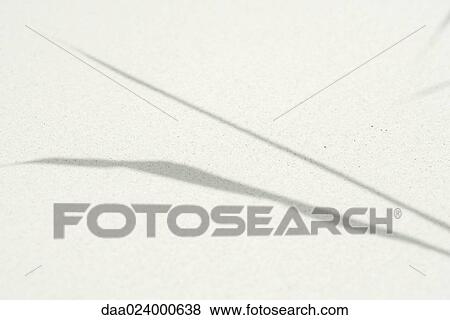 Shadow of plant on sand, close-up View Large Photo Image Stock Photo - Shadow of plant on sand, close-up. Fotosearch