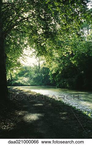 Stock Photograph - Shady river. Fotosearch