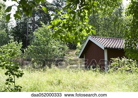 Shed in overgrown yard View Large Photo Image Stock Image - Shed in overgrown yard. Fotosearch