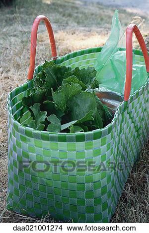 Shopping basket full of fresh produce View Large Photo Image Picture - Shopping basket full of fresh produce. Fotosearch