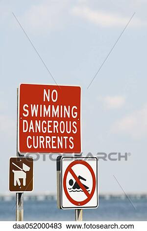 Stock Image - Signs prohibiting swimming due to dangerous currents and requiring dogs to be on leashes. Fotosearch