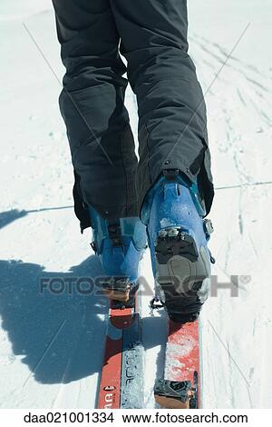 Picture - Skier, close-up of legs, rear view. Fotosearch