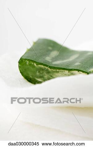 Slice of aloe vera leaf on cotton cosmetic pad, close-up View Large Photo Image Stock Photography - Slice of aloe vera leaf on cotton cosmetic pad, close-up. Fotosearch