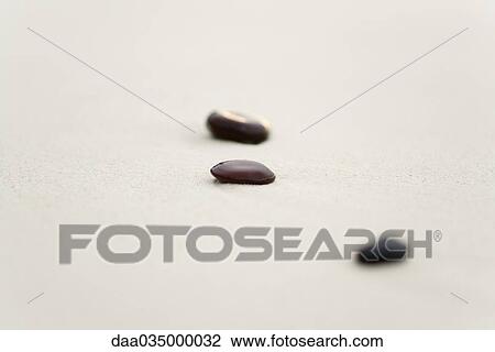 Small stones on sand, one in focus View Large Photo Image Stock Image - Small stones on sand, one in focus. Fotosearch