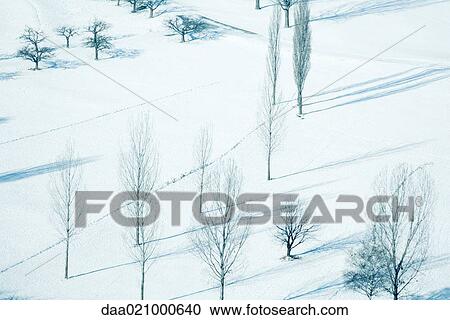 Stock Image - Snow-covered landscape with bare trees, high angle view. Fotosearch