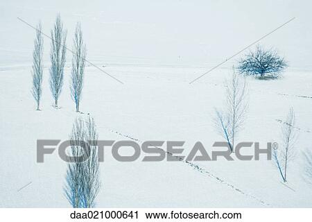 Stock Image - Snow-covered landscape with bare trees, high angle view. Fotosearch